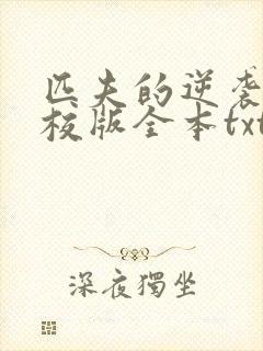 匹夫的逆袭 精校版全本txt