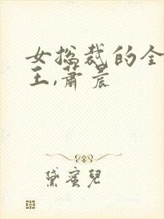 女总裁的全能兵王,萧晨