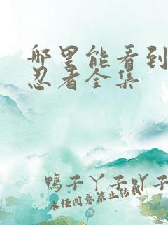 哪里能看到火影忍者全集