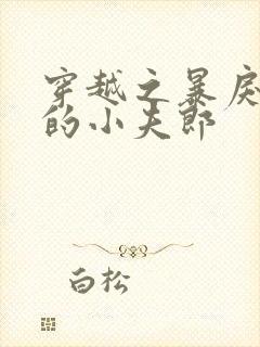 穿越之暴戾屠户的小夫郎