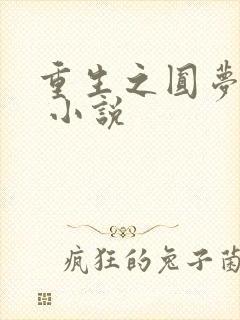 重生之圆梦人生 小说