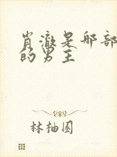 肖澈是哪部小说的男主