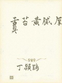 舌苔黄腻厚 口臭