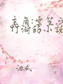 主角:云笙,沈竹漪的小说