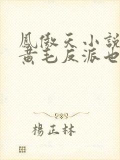 凤傲天小说里的黄毛反派也想幸福生活