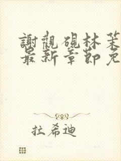 谢观砚林茉小说最新章节免费阅读全文