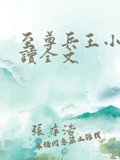 至尊兵王小说阅读全文