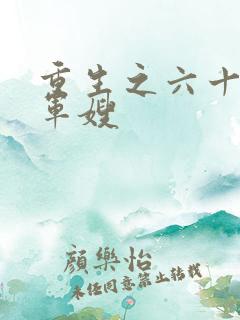 重生之六十年代军嫂