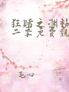 狂赌之渊动漫第二季免费观看