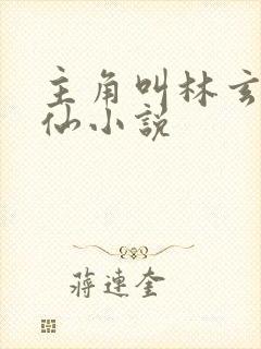 主角叫林玄的修仙小说