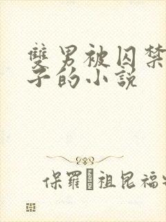 双男被囚禁还生子的小说