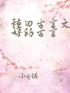 种田古言文笔超好的古言