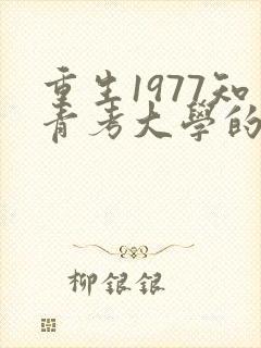 重生1977知青考大学的小说