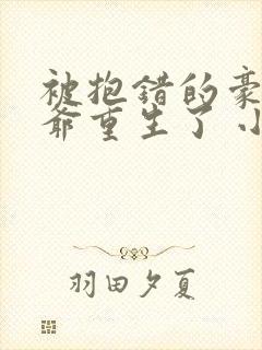 被抱错的豪门少爷重生了 小说