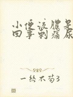 小便流脓是怎么回事刺痛尿道