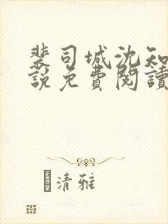 裴司城沈知意小说免费阅读最新章节