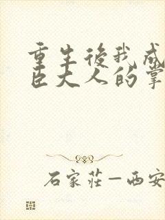 重生后我成了权臣大人的掌中娇