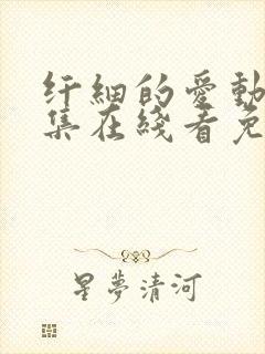 纤细的爱动漫全集在线看免费