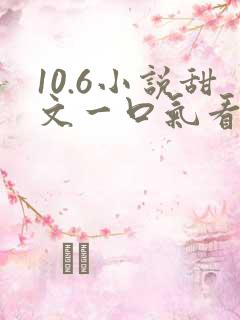 10.6小说甜文一口气看完