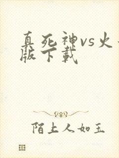 真死神vs火影版下载