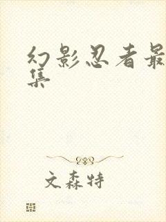 幻影忍者最后一集