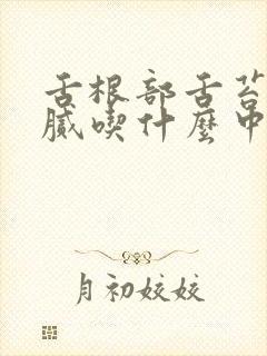 舌根部舌苔黄厚腻吃什么中成药