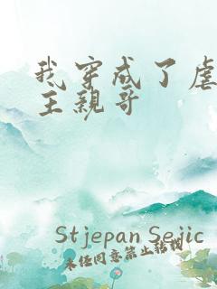 我穿成了虐文女主亲哥