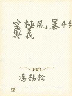 究极风暴4终极奥义