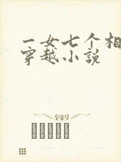 一女七个相公的穿越小说
