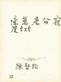 亿万老公宠妻无度txt