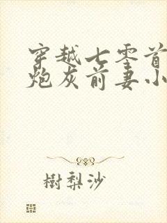 穿越七零首富的炮灰前妻小说