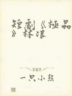 短剧《极品人生》林浪