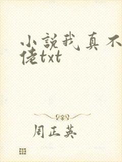 小说我真不是大佬txt