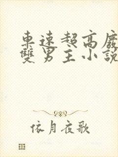 车速超高废文的双男主小说推荐完结