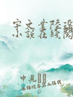 宇文业陆瑶陆婉小说在线阅读免费