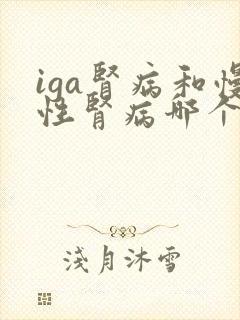 iga肾病和慢性肾病哪个严重