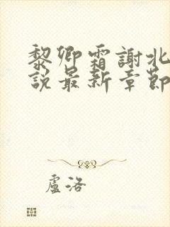 黎卿霜谢北渊小说最新章节阅读地址