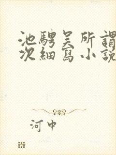 池骋吴所谓第一次细写小说免费阅读