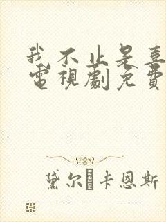 我不止是喜欢你电视剧免费观看