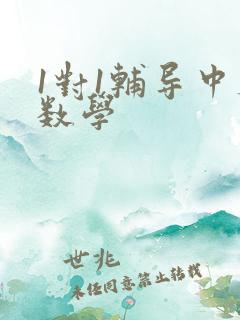 1对1辅导中考数学