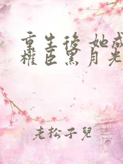 重生后 她成了权臣黑月光