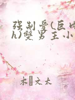 强制爱(巨肉高h)双男主小说