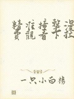 精准撞击漫画免费观看下拉式