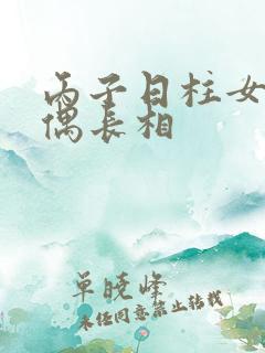 丙子日柱女命配偶长相