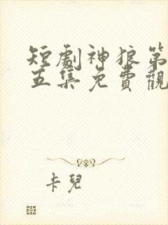 短剧神狼第二十五集免费观看