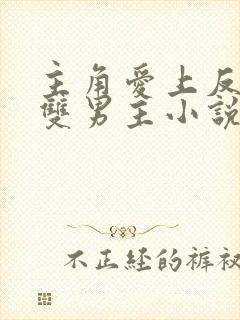 主角爱上反派的双男主小说