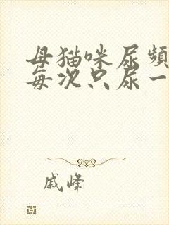 母猫咪尿频而且每次只尿一点