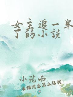 女主追一半不追了的小说