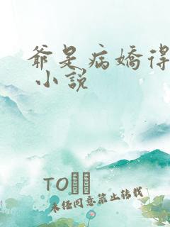 爷是病娇得宠着 小说