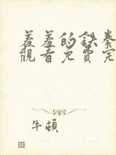 羞羞的铁拳在线观看免费完整版